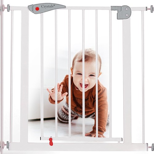 Baby safety gate - safety, dog